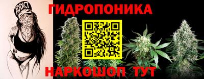 гидропоника Краснознаменск