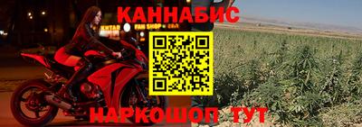 гидропоника Краснознаменск