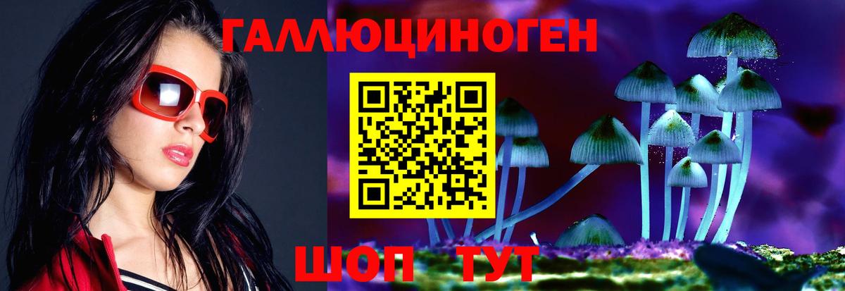 Псилоцибиновые грибы мицелий  Вход с VPN  Тында 